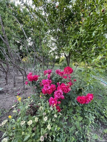 Продаётся 3-комн. дом/дача 75 м², пос. Новханы, photo 1 from 21