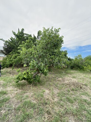 Продаётся 3-комн. дом/дача 75 м², пос. Новханы, photo 4 from 21