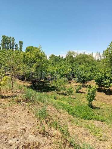 Satılır  torpaq 37 sot, Xaçmaz r., photo 5 from 9