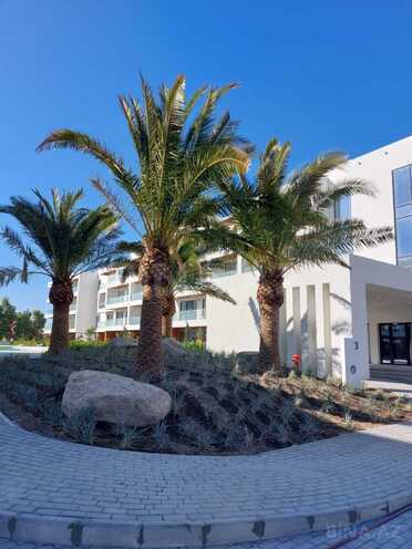 İcarəyə verilir 2 otaqlı yeni tikili 97 m², Nardaran q., photo 3 from 15