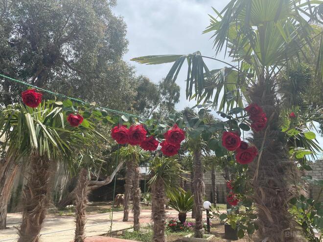Satılır 7 otaqlı həyət evi/bağ evi 260 m², Xəzər r., photo 28 from 30