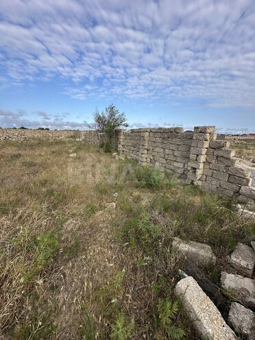 Satılır  torpaq 6 sot, Türkan q., photo 8 from 10
