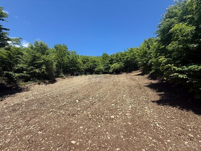 Satılır  torpaq 8 sot, photo 1 from 6