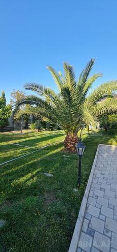 Сдаётся 5-комн. дом/дача 360 м², Хазарский р., photo 3 from 20