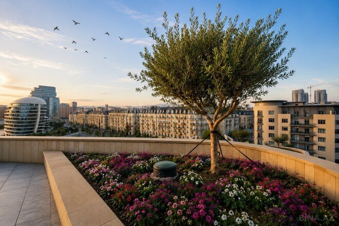 Satılır 8 otaqlı yeni tikili 840 m², Ağ şəhər q., photo 11 from 25