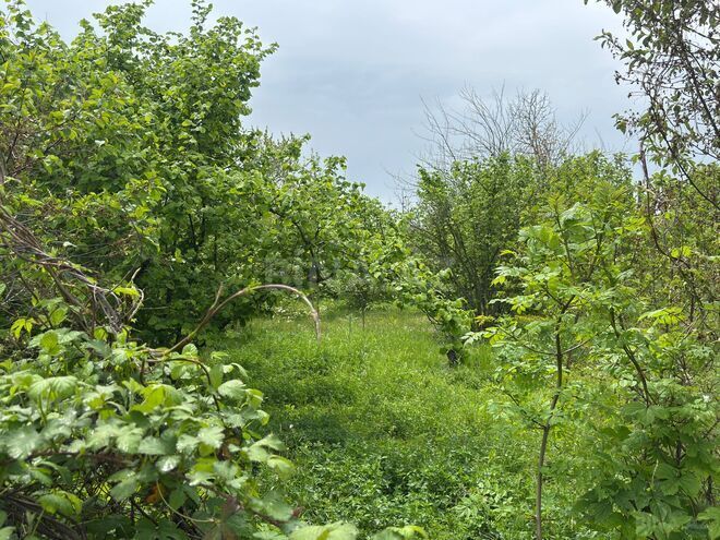 Satılır  torpaq 9 sot, photo 5 from 6