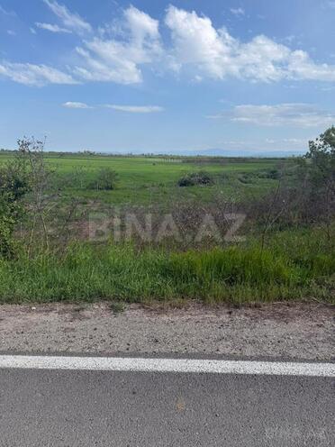 Satılır  torpaq 12 sot, photo 1 from 5