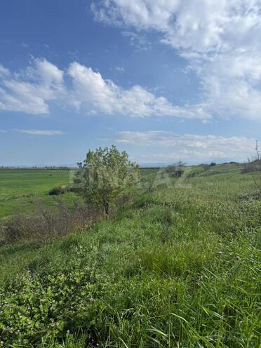 Satılır  torpaq 12 sot, photo 4 from 5