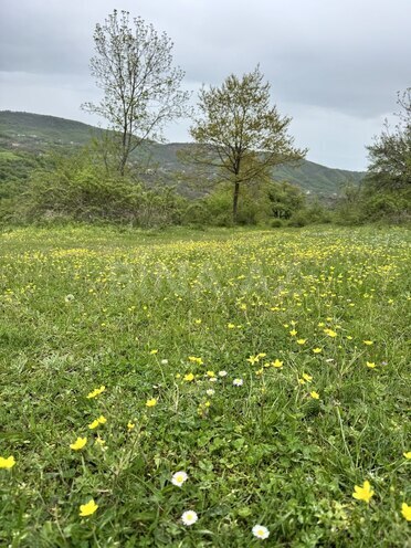 Satılır  torpaq 450 sot, photo 1 from 8