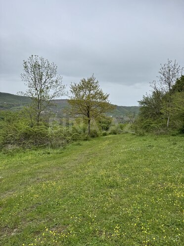 Satılır  torpaq 450 sot, photo 4 from 8