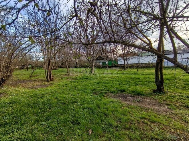 Satılır  torpaq 16 sot, photo 9 from 10