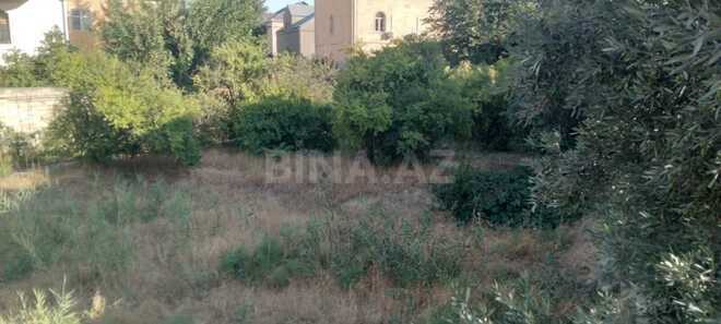Продаётся  участок 6 сот, пос. Бадамдар, photo 4 from 6