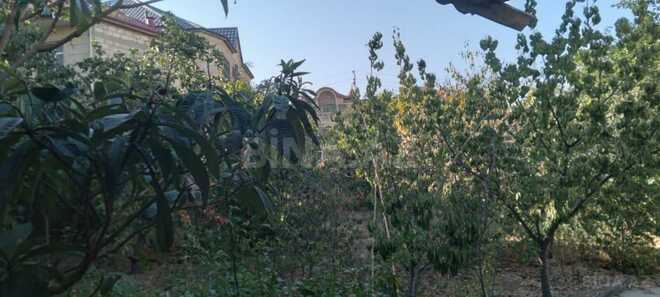 Продаётся  участок 6 сот, пос. Бадамдар, photo 5 from 6
