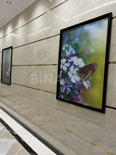 İcarəyə verilir 2 otaqlı yeni tikili 86 m², Gənclik m., photo 3 from 29