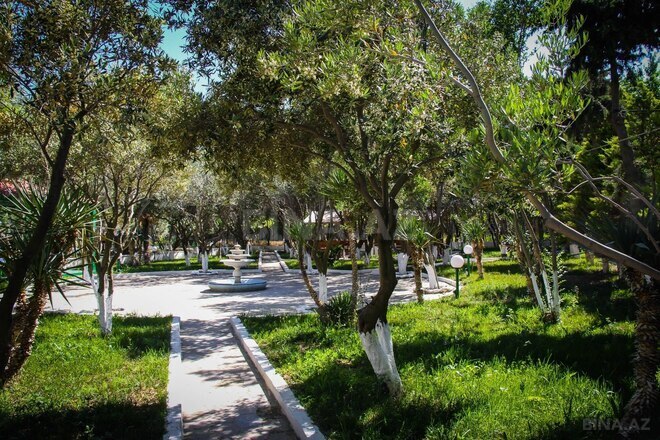 Satılır  obyekt 20 000 m², Ələt q., photo 6 from 18