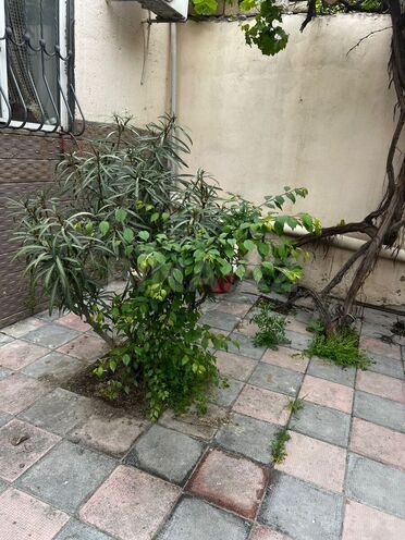 Продаётся 4-комн. дом/дача 120 м², Абшеронcкий  р., photo 18 from 19