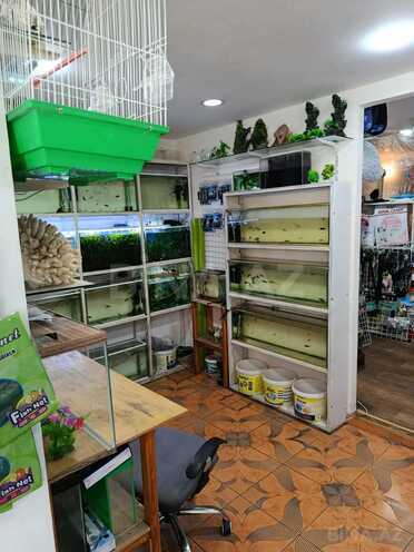 İcarəyə verilir  obyekt 65 m², İnşaatçılar m., photo 1 from 12