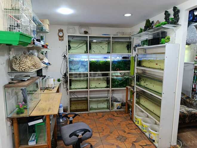 İcarəyə verilir  obyekt 65 m², İnşaatçılar m., photo 4 from 12