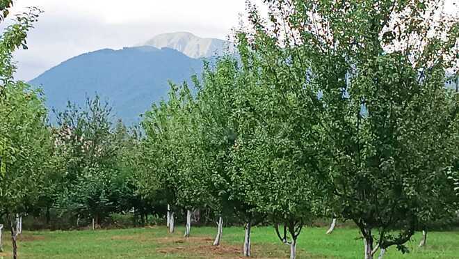 Satılır  torpaq 30 sot, photo 3 from 12