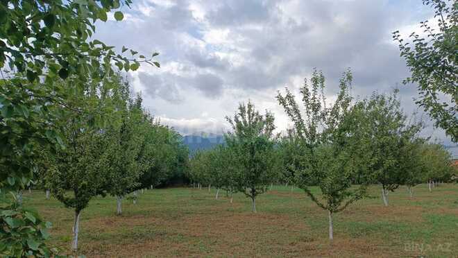 Satılır  torpaq 30 sot, photo 9 from 12