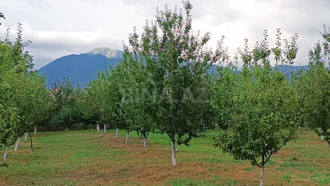 Satılır  torpaq 30 sot, photo 4 from 12