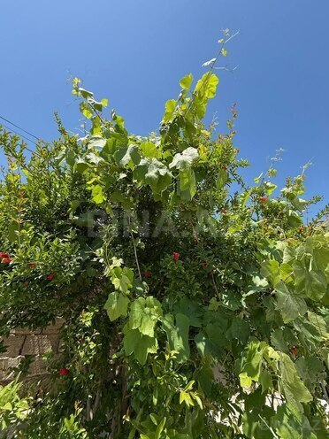 İcarəyə verilir 4 otaqlı həyət evi/bağ evi 120 m², Nardaran q., photo 3 from 30