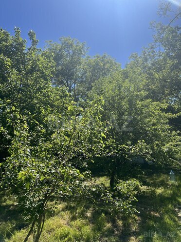 Продаётся  участок 15 сот, photo 19 from 32