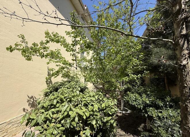 Satılır 5 otaqlı həyət evi/bağ evi 330 m², Badamdar q., photo 11 from 22