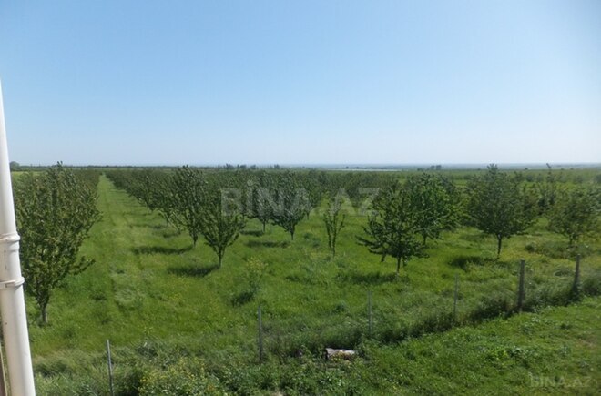 Продаётся  участок 316 сот, photo 26 from 29