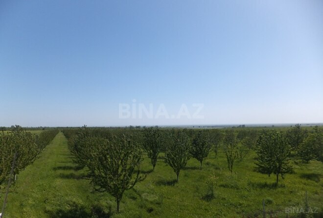 Продаётся  участок 316 сот, photo 24 from 29