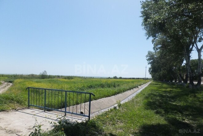 Продаётся  участок 316 сот, photo 18 from 29