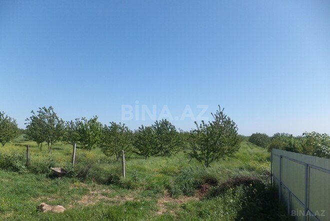 Продаётся  участок 316 сот, photo 20 from 29