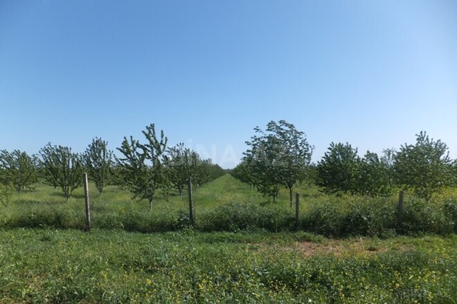 Продаётся  участок 316 сот, photo 21 from 29
