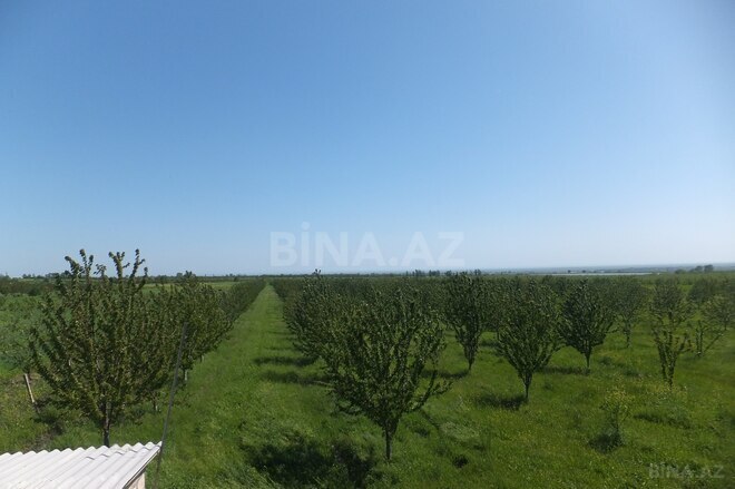 Продаётся  участок 316 сот, photo 25 from 29