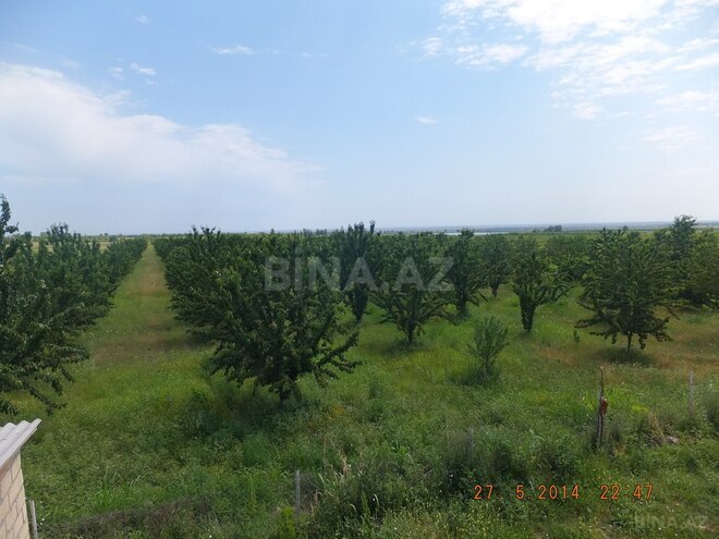 Продаётся  участок 316 сот, photo 28 from 29