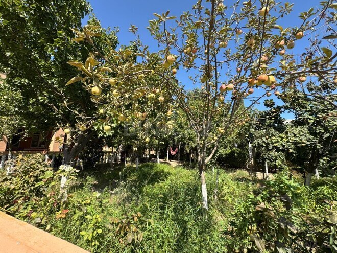 Satılır 6 otaqlı həyət evi/bağ evi 400 m², Mərdəkan q., photo 21 from 22