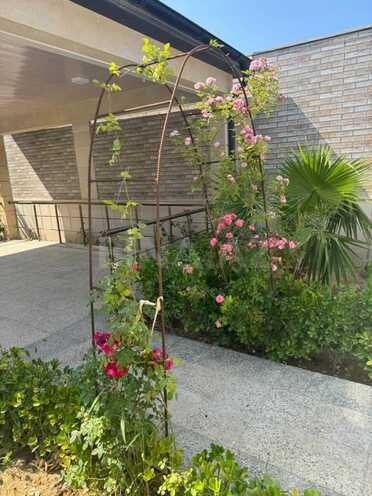 İcarəyə verilir 6 otaqlı həyət evi/bağ evi 250 m², Şüvəlan q., photo 22 from 23