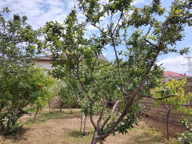 Satılır 4 otaqlı həyət evi/bağ evi 180 m², Saray q., photo 7 from 15
