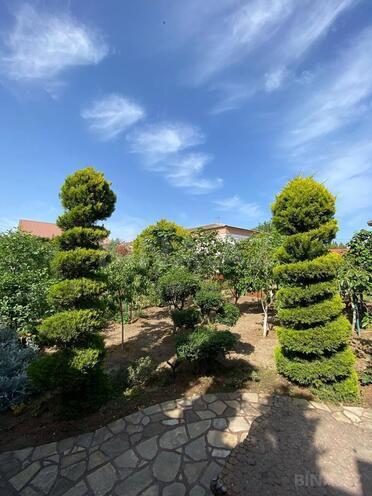İcarəyə verilir 5 otaqlı həyət evi/bağ evi 310 m², Mərdəkan q., photo 29 from 32
