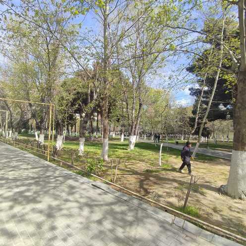 İcarəyə verilir  obyekt 260 m², photo 13 from 14