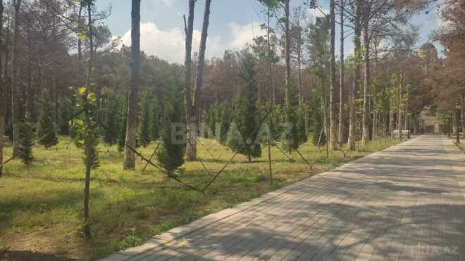 İcarəyə verilir  obyekt 260 m², photo 12 from 14