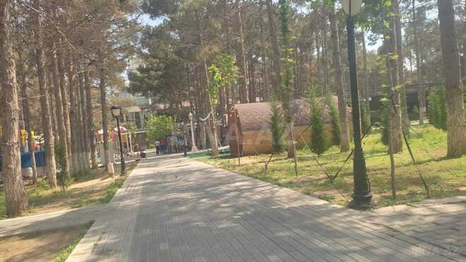 İcarəyə verilir  obyekt 260 m², photo 1 from 14