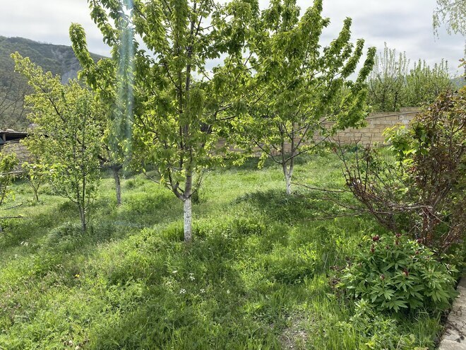 Продаётся 4-комн. дом/дача 280 м², photo 9 from 27