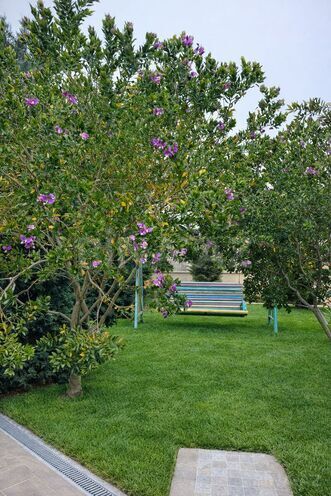 İcarəyə verilir 6 otaqlı həyət evi/bağ evi 250 m², Buzovna q., photo 7 from 23