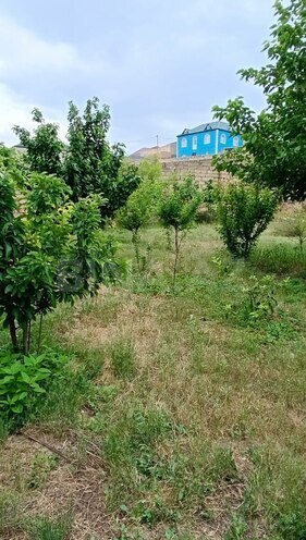 Satılır  torpaq 12 sot, Masazır q., photo 7 from 14