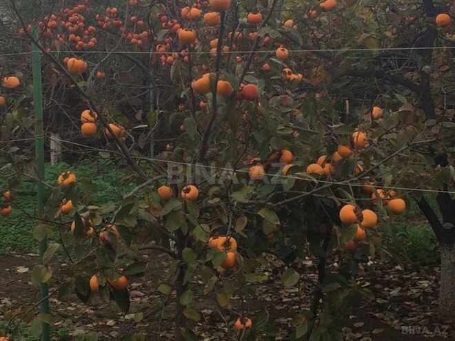 Продаётся 6-комн. дом/дача 250 м², пос. Новханы, photo 26 from 32