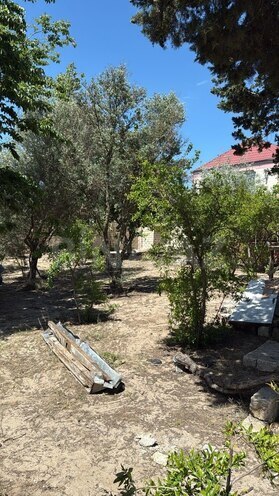 Satılır  torpaq 8 sot, Nardaran q., photo 1 from 8