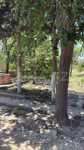 Satılır  torpaq 8 sot, Nardaran q., photo 4 from 8