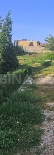 Продаётся  участок 12 сот, пос. Мардакан, photo 4 from 6