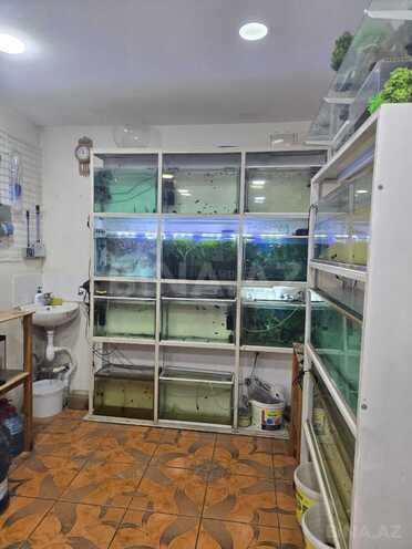 Сдаётся  объект 65 м², м. Элмляр Академиясы, photo 5 from 11